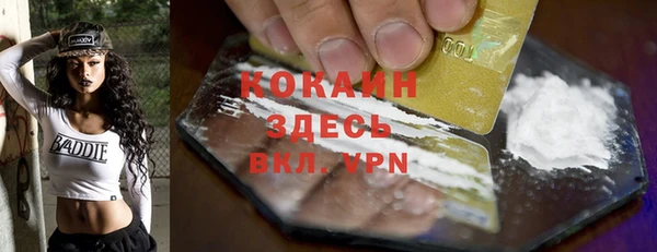 дмт Верея