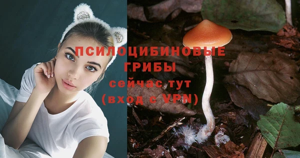 дмт Верея