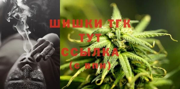 дмт Верея