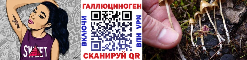 что такое   Мончегорск  Галлюциногенные грибы мухоморы 