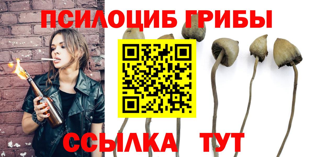 Псилоцибиновые грибы MAGIC MUSHROOMS  Вход с VPN  Мончегорск  Галлюциногенные грибы Psilocybine cubensis 